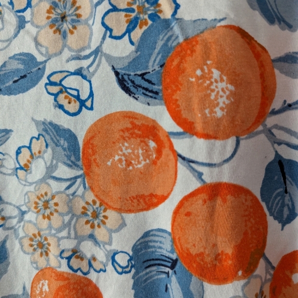 Ann Taylor Citrus Fruit Oranges 🍊 Scoop Neck Stretch Short Sleeve Shirt Medium - Picture 2 of 6
